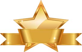 excellence award excellence award